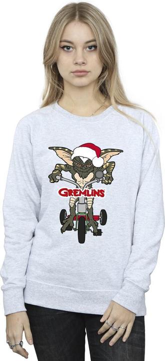 Image du produit Universal Textiles - Sweat BIKE LOGO - Femme (XXL)