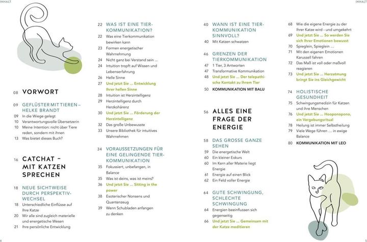 Actual product image Was will mir meine Katze sagen? (German, Helke Brandt, 2023)