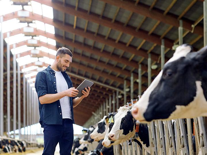 Image du produit Smartbox Anniversaire à la ferme : une charmante évasion pour les amoureux de la nature (2 pers.)