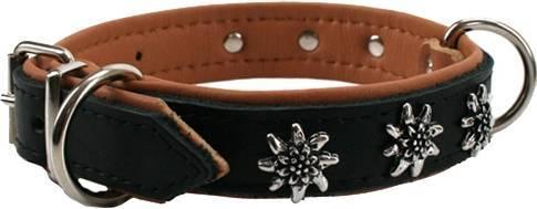Image du produit Colly Collier doublé cuir, décor Edelweiss, 45 cm 25 mm, noir (45, Chien, Général)