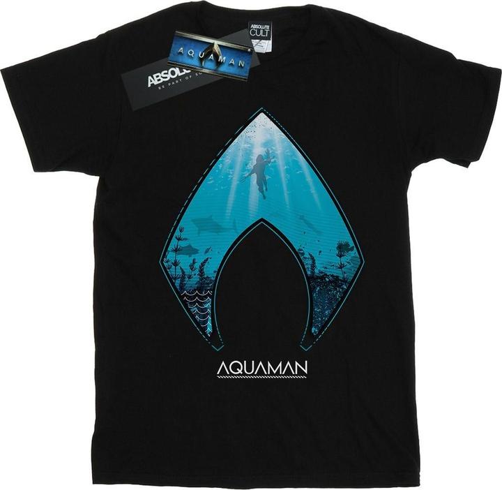 Image du produit Mens Aquaman Ocean Logo T-Shirt (M)