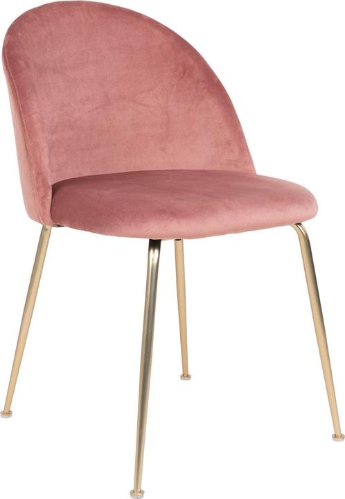 Rosa, Brass