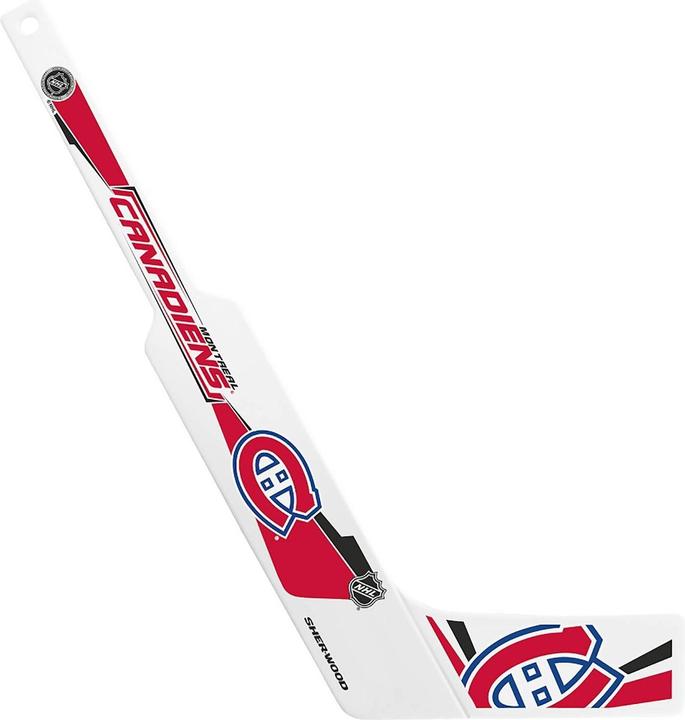 Image du produit EA Games Mini-baton de gardien de but NHL en plastique DAL (65011)