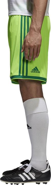 Actual product image adidas Regista 18 Short men (M)