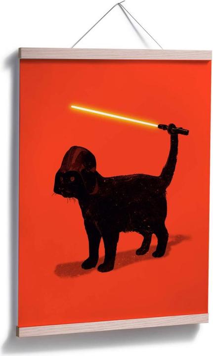 Produktbild Trenddeko Cat Vader (40 x 50 cm)