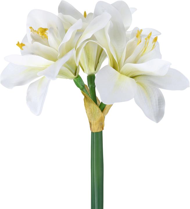 Image du produit EGLO LIVING Molave (63 cm)