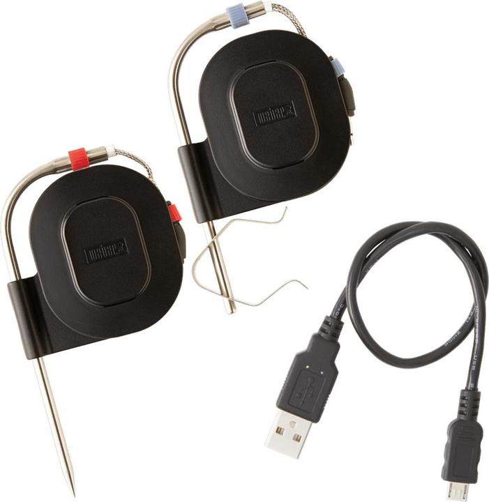 Actual product image Weber Connect Smart