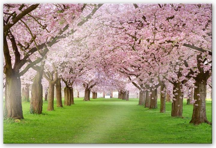 Produktbild Trenddeko Frühling (100 x 70 cm)