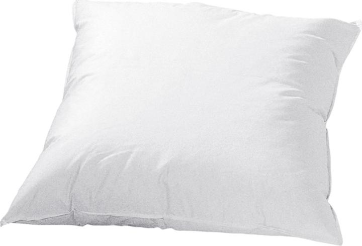 Immagine prodotto Betten Duscher Cuscino in piuma (65 x 65 cm)