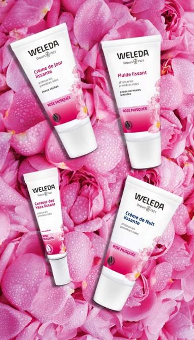 Actual product image Weleda Wild Rose Smoothing Day Care (30 ml, Day cream)