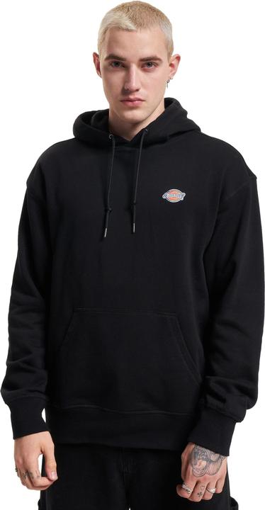 Immagine prodotto Dickies Felpa con cappuccio Millersburg - 89467 (L)