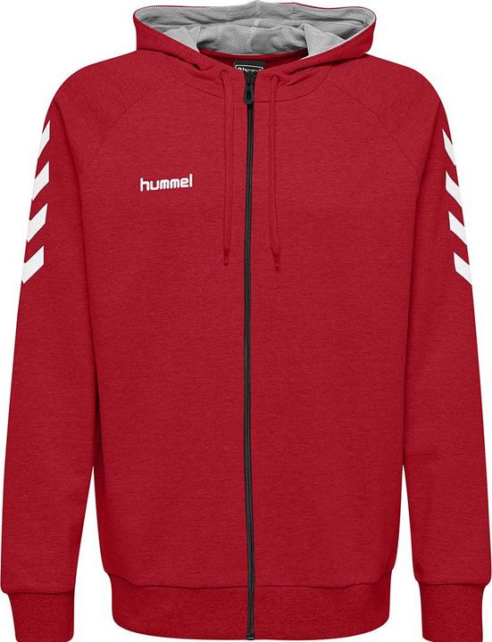 Actual product image hummel Hmlgo Cotton Hooded Jacket Men (M)