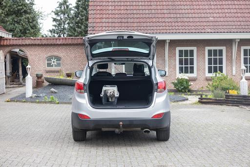 Immagine prodotto Karlie Box di trasporto Nomad Top Loader (Gatto, Cane, Chiudibile a chiave)