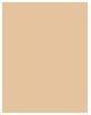 Image du produit Erborian Super BB (Nude)