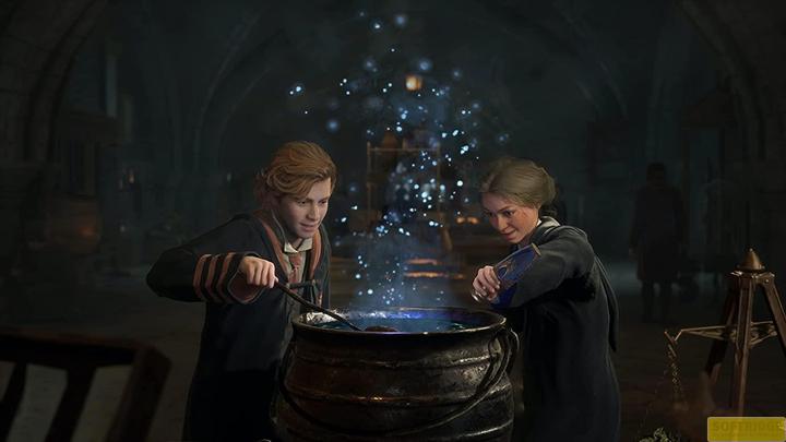 Immagine prodotto WB Hogwarts Legacy (PS4, DE)