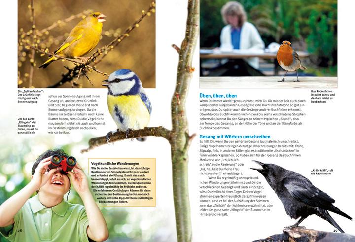 Actual product image Entdecke die Singvögel (German, Thomas Schmidt, 2015)