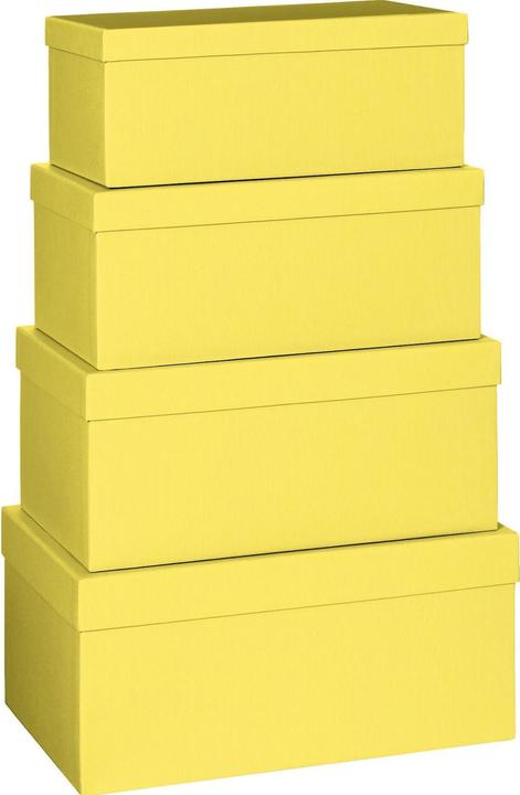 Actual product image Stewo Gift box (Gift box, 4 x)