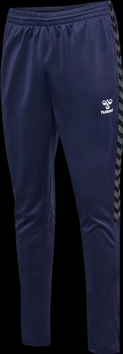 Actual product image hummel Hmlauthentic Training Pants (M)