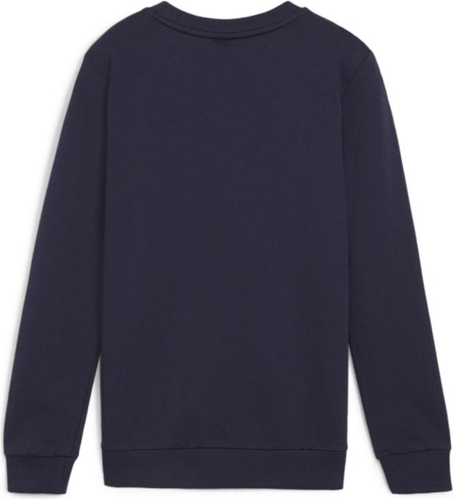 Immagine prodotto Puma teamGOAL Casuals Felpa girocollo Jr (164)