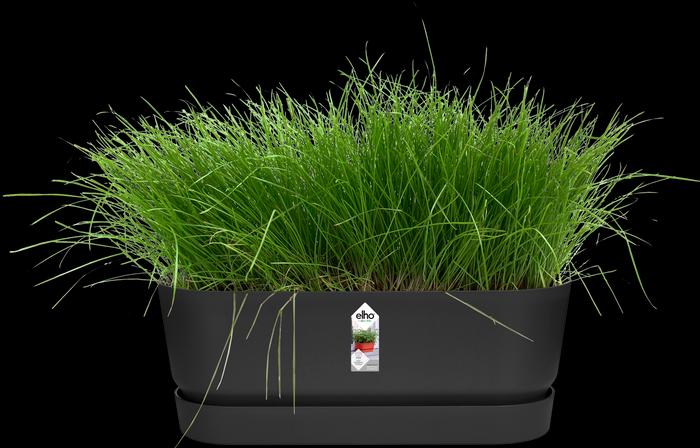 Produktbild Elho Blumenkasten (19 cm)