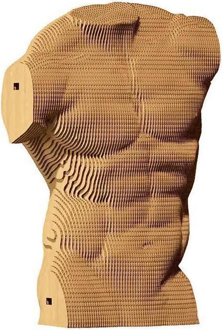 Actual product image Cartonic Male torso