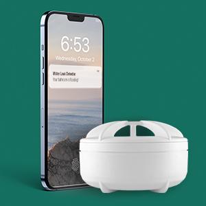 Actual product image Z-Wave Water Leak Detector