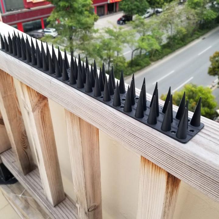 Actual product image Werkstein Bird Protection Pigeon Defence Spikes - Black (Set of 12)