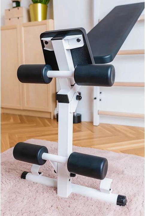 Actual product image BenchK Wall bars 313