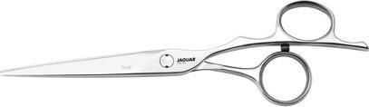 Image du produit Jaguar Fame Silver Line (15.24 cm)
