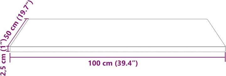 Actual product image VidaXL Lee (100 x 50 x 2.5 cm)