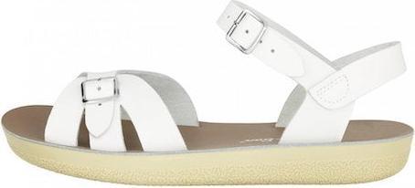 Salt Water Adult - Boardwalk