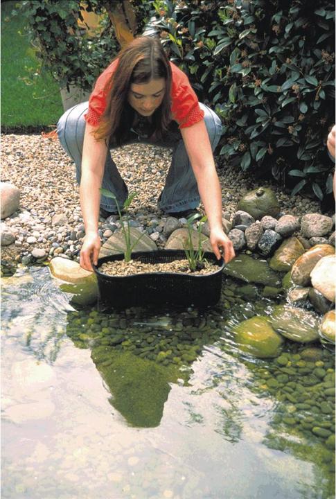 Actual product image Oase Planting basket