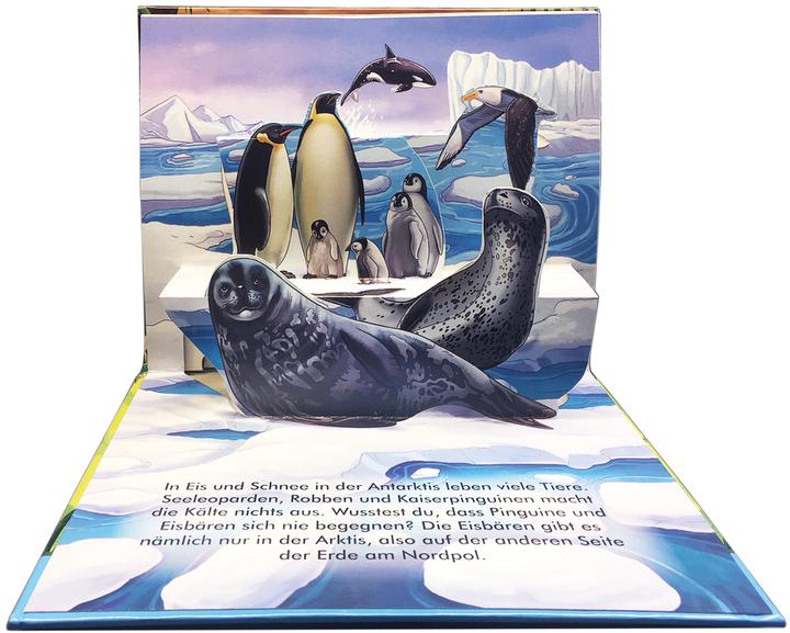 Produktbild Mein wildes Pop-up-Buch (Deutsch)