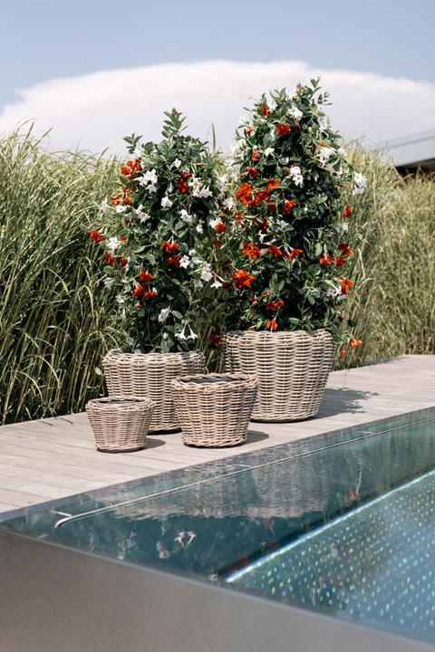 Actual product image Van der Leeden Bali (65 cm)