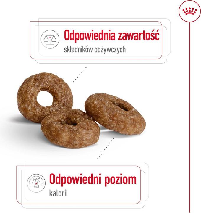 Actual product image Royal Canin Adult dry food (Senior, 1 pcs., 3500 g)