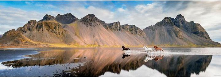 Image du produit Heye Iceland Horses Panorama pcs (1000 pièces)