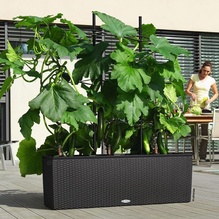 Image du produit Lechuza Trio Cottage (32 cm)