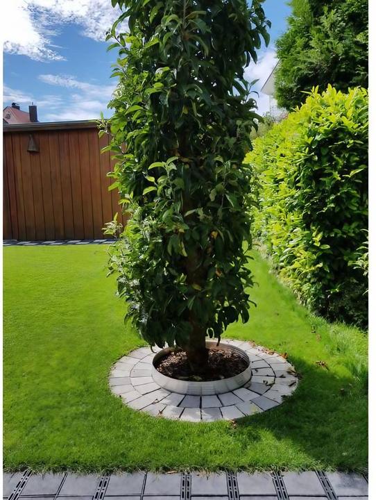 Actual product image Green Split Aluminium tree ring Height 140 mm Diameter 0.6 m (14 cm)