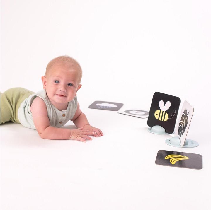 Actual product image Taf Toys My first playing cards