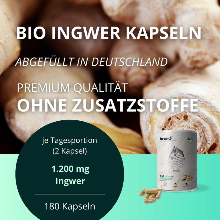 Immagine prodotto Brandl Bio Ingwer (Zenzero) (1 Pezzo/i, Pillole, 130 g)