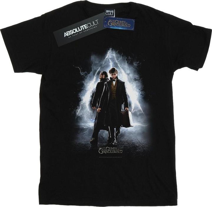 Actual product image Fantastic Beasts Boys Newt And Dumbledore Poster T-Shirt (152, 158)