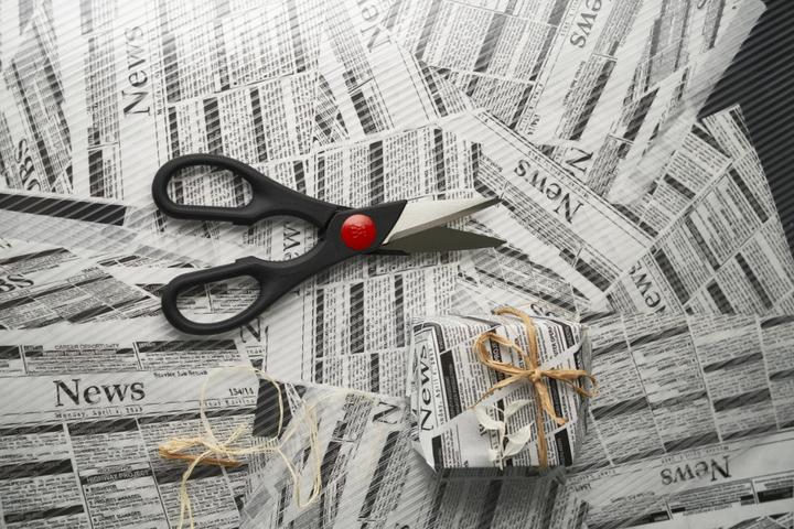 Actual product image Zwilling Multipurpose scissors Twin (20 cm)