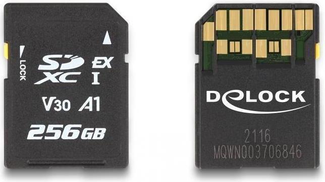 Delock SD Express Speicherkarte 256 GB (256 GB, SD, U3, UHS-I)