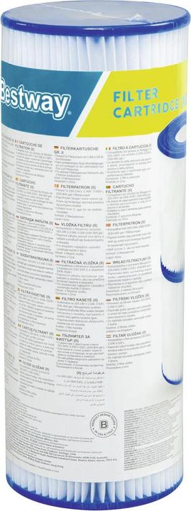 Actual product image Bestway filter cartridge