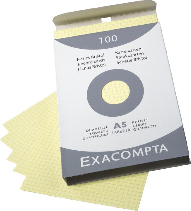 Image du produit Exacompta Fiches (A5, 205 g/m², 100 x)