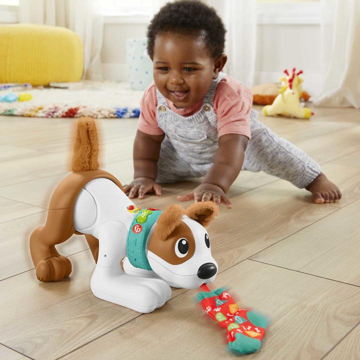 Produktbild Fisher-Price - 123 Crawl With Me Puppy-DU