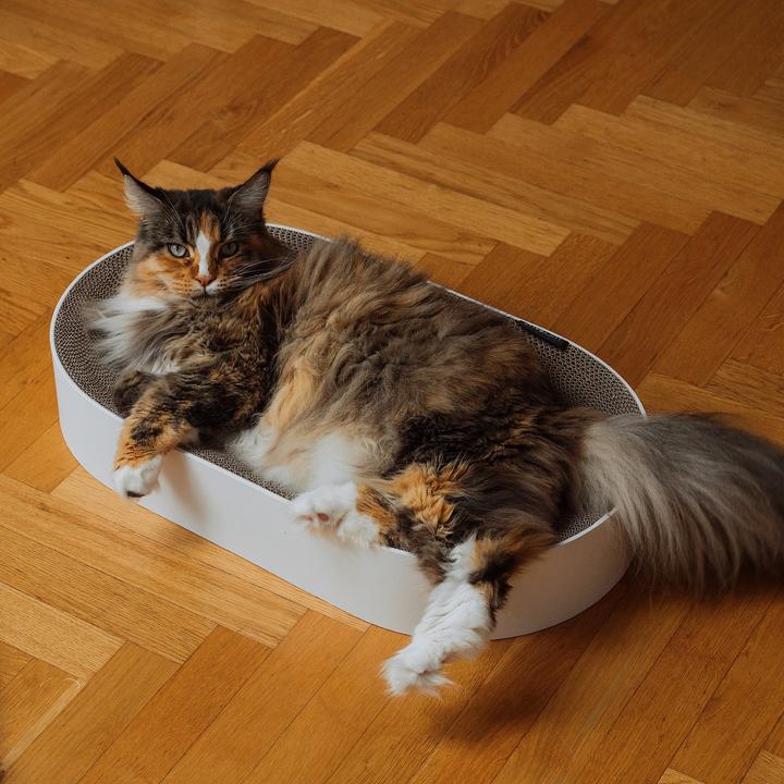 Produktbild LucyBalu SCRATCHBED Kartonbett (Katze)