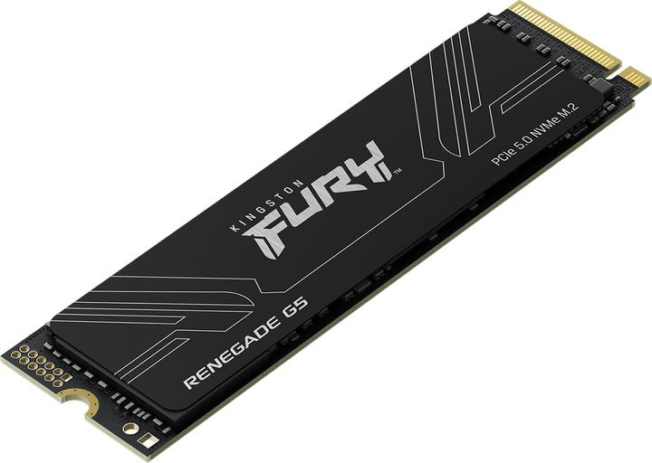 Image du produit Kingston FURY Renegade G5 (4096 Go, M.2 2280)