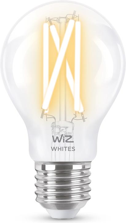 Filament (E27, 6.70 W, 806 lm, 1 x, E)