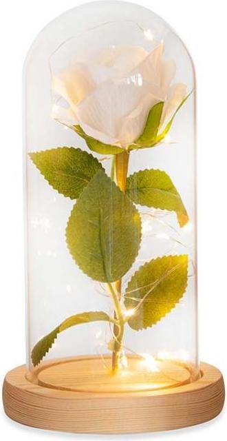 Immagine prodotto TOP Rosa eterna (Fiori dell'Infinito)